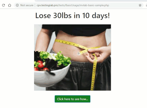 MV Lab Sample package