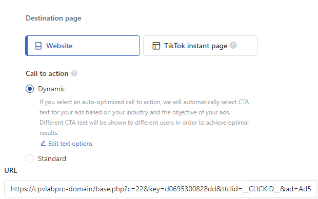 TikTok destination url